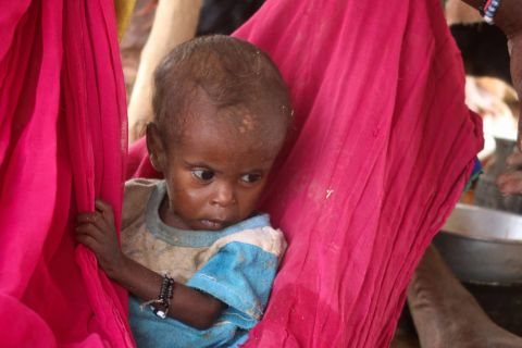 تحذيرات من أزمة جوع تاريخية في السودان