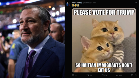 US Senator Ted Cruz under fire over racist post about immigrants