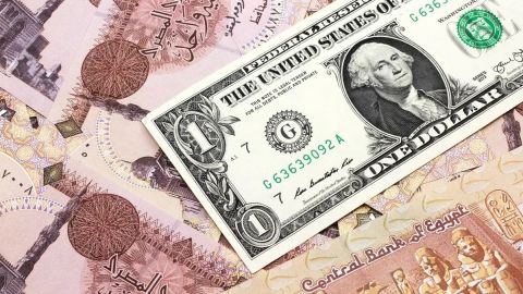 سعر الدولار اليوم في مصر الاثنين 14 أكتوبر 2024.. الأخضر بكام؟