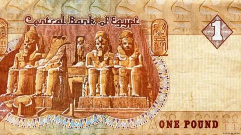 دراسة جديدة: مستخلص الفطر الأبيض يمكنه تقليص أورام السرطان