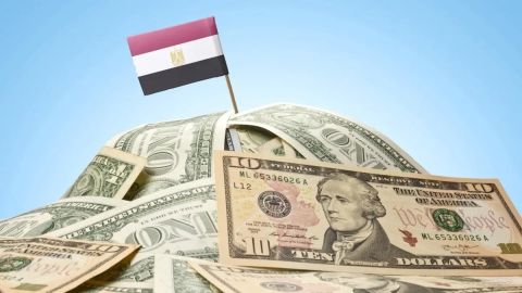 سعر الدولار اليوم في مصر الجمعة 15 نوفمبر 2024.. ارتفاع الأخضر