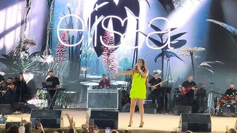 Elissa's 186,000 EGP green dress in Cairo causes controversy