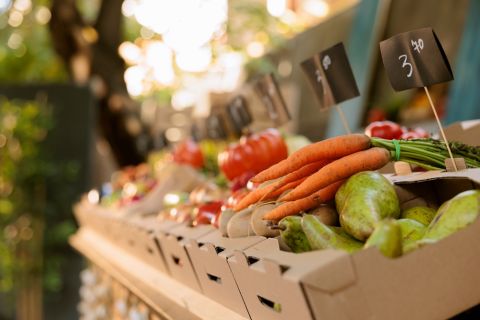 Germany's producer prices continue to drop in October