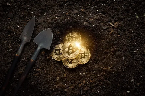 UAE launches largest solar farm to power cryptocurrency mining