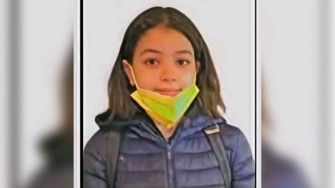Egyptian schoolgirl Renad Adel's death causes controversy 