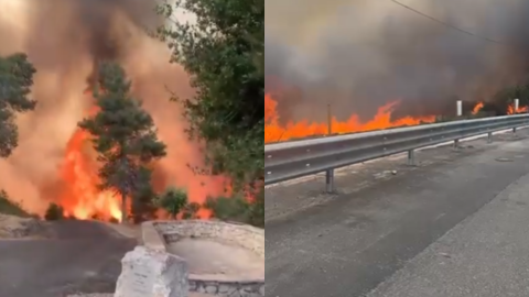 Massive wildfires engulf Jerusalem hills, Israel requests international aid