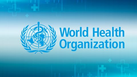 بمناسبة يوم الصحة العالمي: 8 أطعمة تقي من التجاعيد والشيخوخة