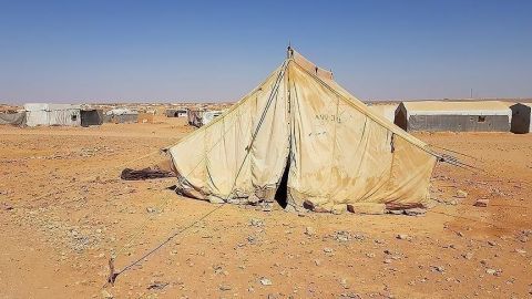 أكثر من ربع مليون شخص يتظاهرون في روما رفضا للحرب على غزة