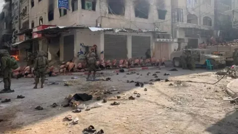 هذا موعد إجراء أول انتخابات برلمانية سورية في عهد الشرع