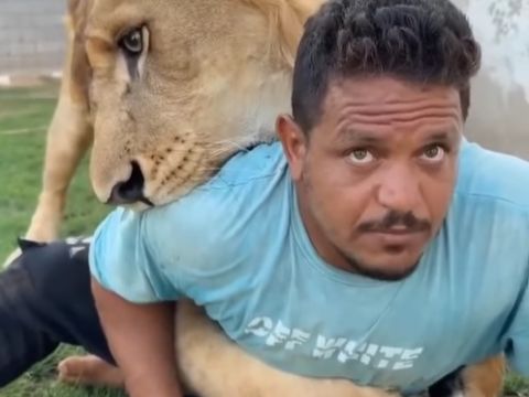 وثيقة سرية.. تسريبات تكشف نتيجة 