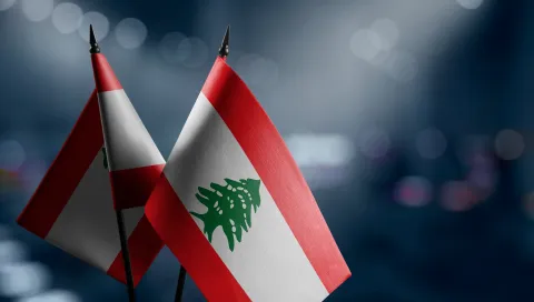 الرئاسة اللبنانية ترد بعد وصف الصحفيين بالحيوانات