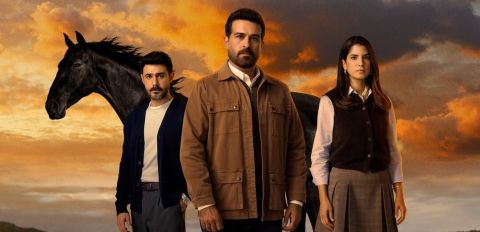 Layl series: All you need to know about the Arabic story of 'Safirin Kizi'