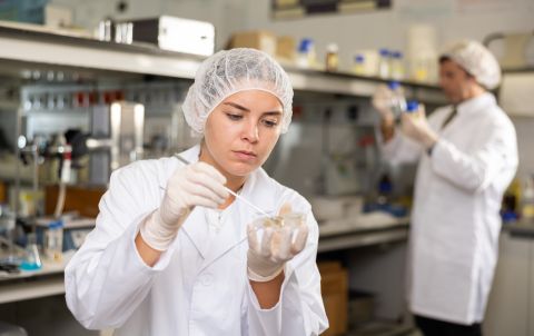 نباتات صالحة للأكل باستخدام غبار المريخ 