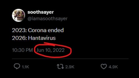 Corona ends, Hantavirus begins: Post in 2022 predicting cruise ship virus causes panic