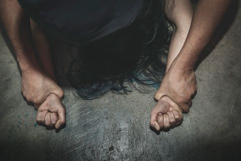 حزب الصراصير.. يُثير الجدل في بلد معروف