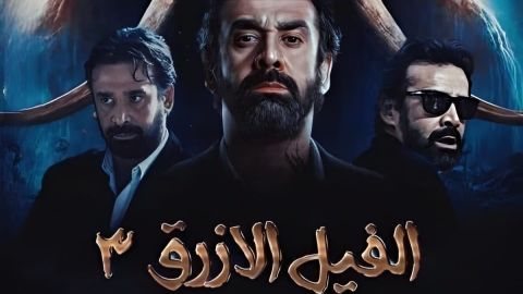 الصور الأولى لكريم عبد العزيز ونيللي كريم من 