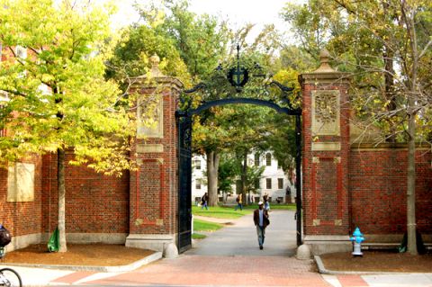 How Harvard University lost $250,000 by advocating for Palestine