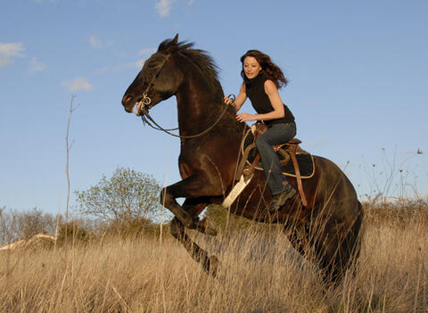Female horse trainer fights Saudi’s patriarchy 