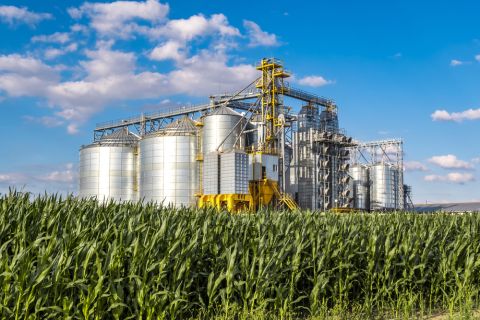 Unhealthy agrifood system adds trillions in hidden costs