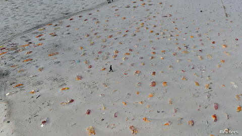 من الجو: قبور على مد البصر لضحايا كورونا في الهند