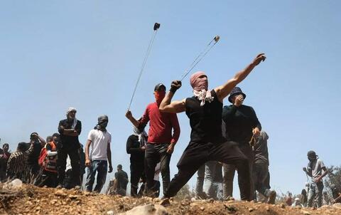 ميا خليفة تحيي شركة 