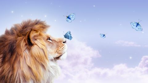 صفات برج الأسد للرجل والمرأة في العلاقة الحميمة