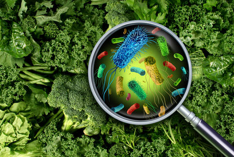 Startup of the Week: Uvera - Revolutionizing Food Safety, Putting an End to Food Waste