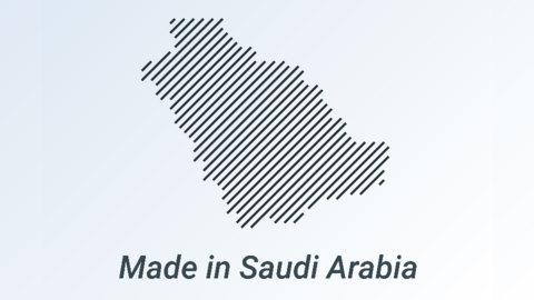 Vacationing with Kids in Saudi Arabia: 5 Fun Places to Visit