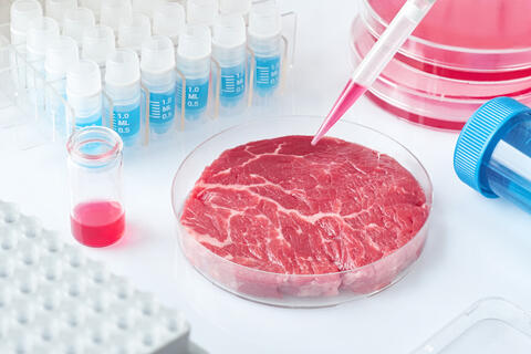 How Is The Food Industry Slowly Evolving?
