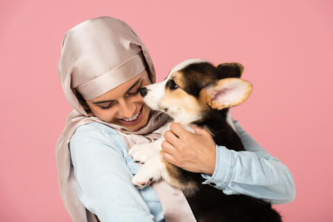 Afghan People vs Animals: Which Refugees Are More Welcome in the West?